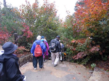 e0110940_1592377.jpg