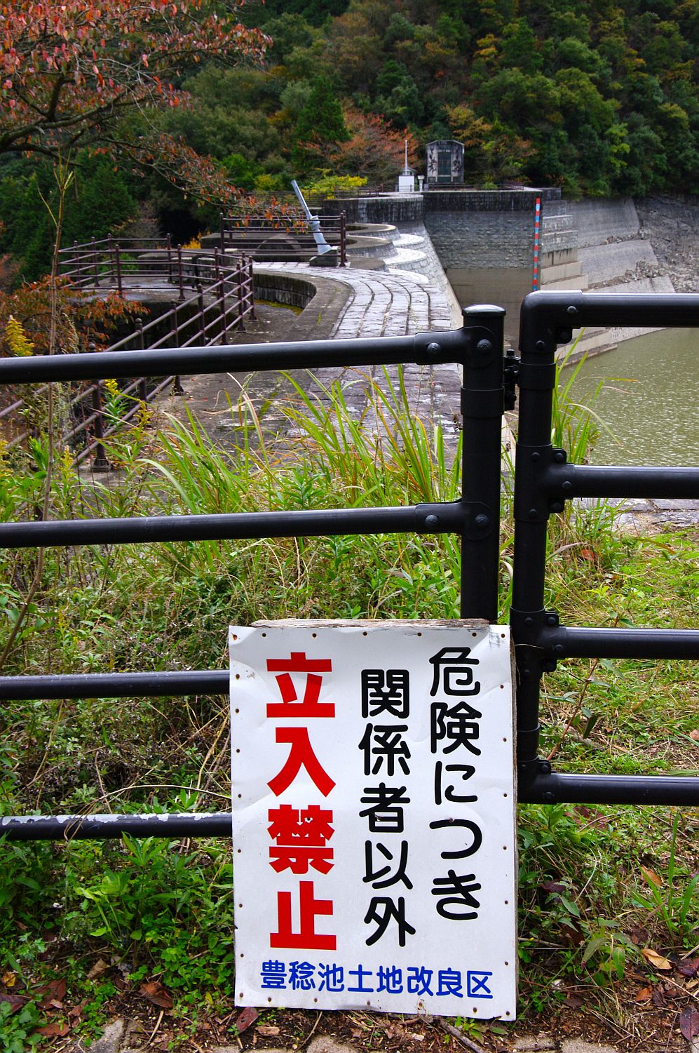 b0212342_06062697.jpg