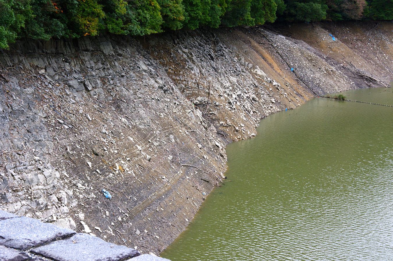 b0212342_7321640.jpg