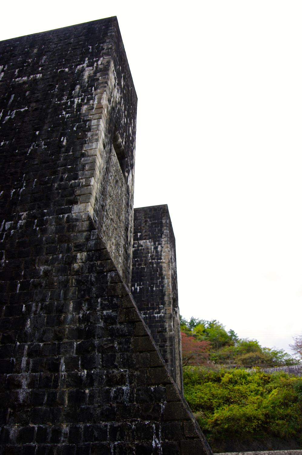 b0212342_8262559.jpg