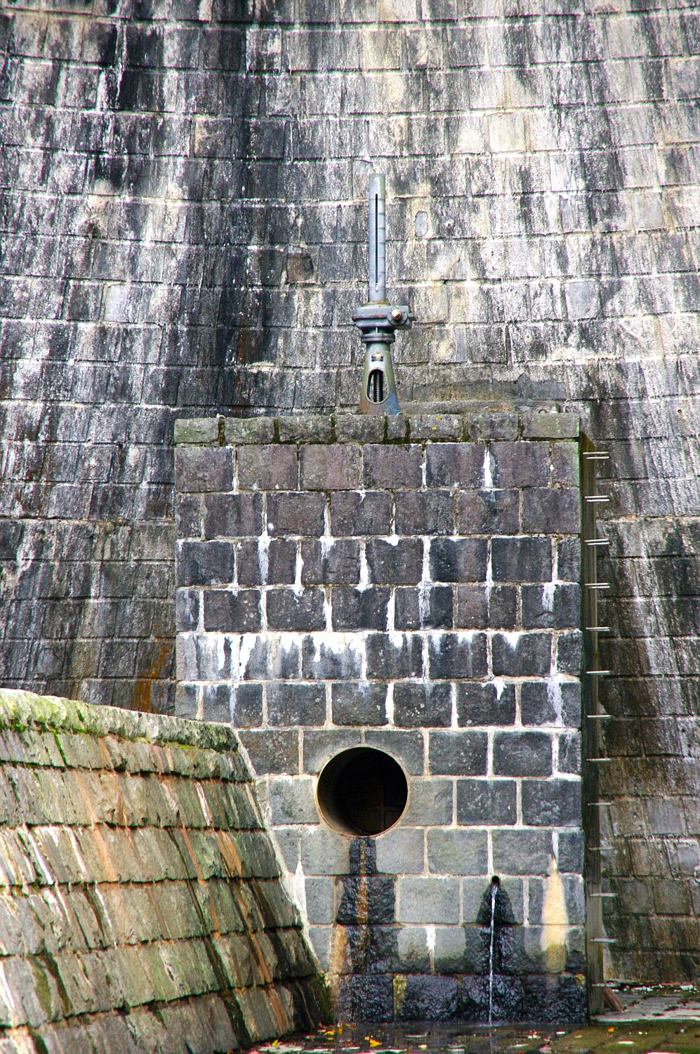 b0212342_871794.jpg