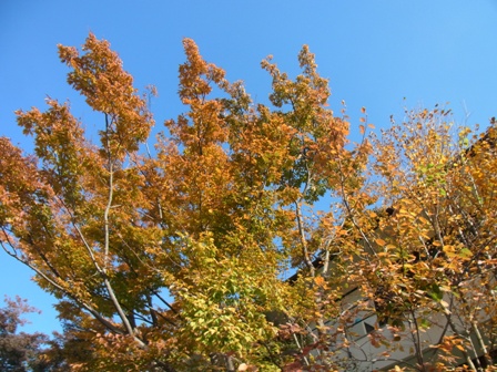a0078344_1963947.jpg