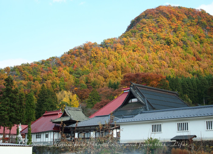 ........きらきらゆらゆら♪　～小布施/寺～_e0151944_21073044.jpg