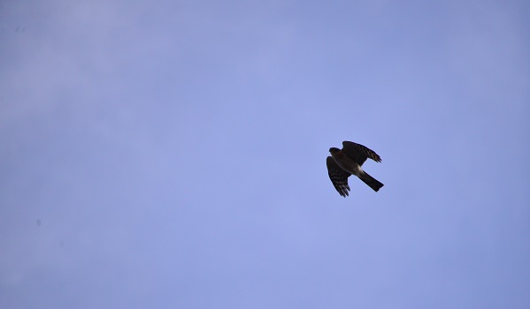 a0238350_2312441.jpg