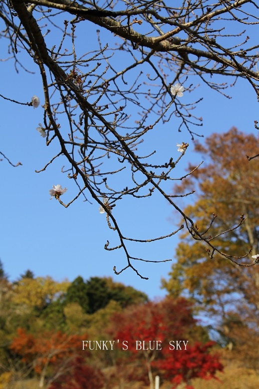 c0145250_16211858.jpg