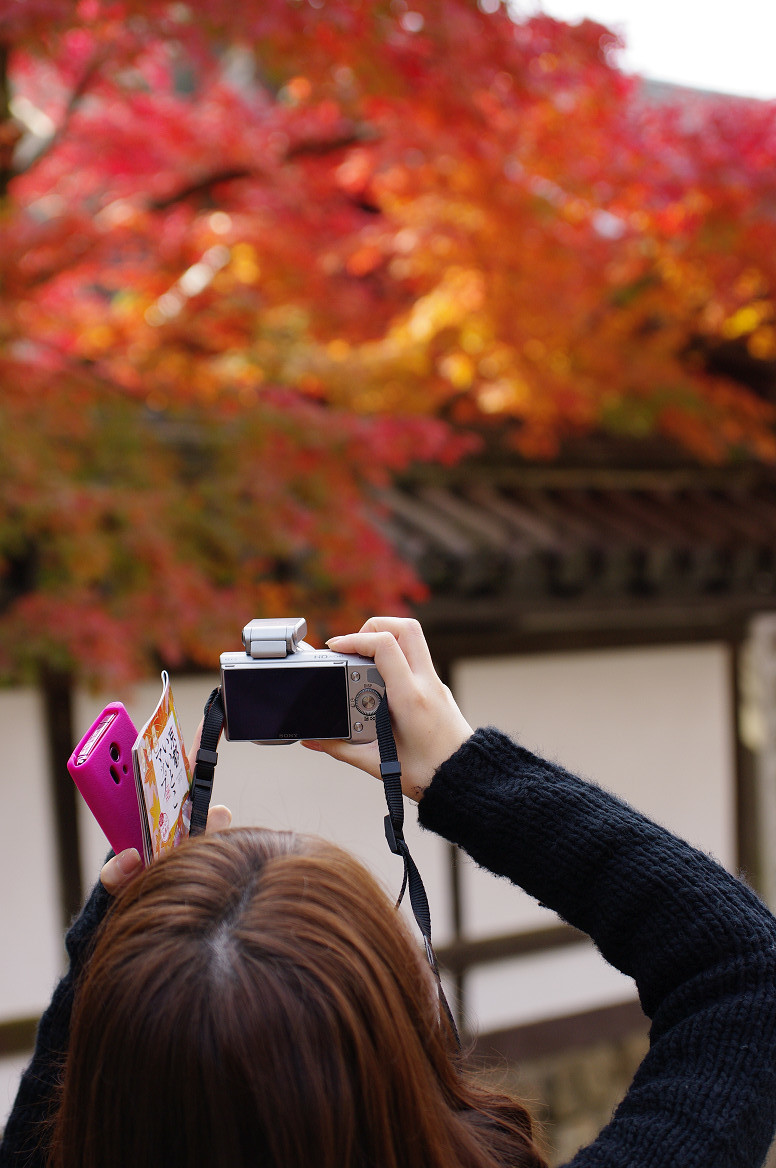 京都の紅葉 2013　〜南禅寺〜_f0152550_21344637.jpg