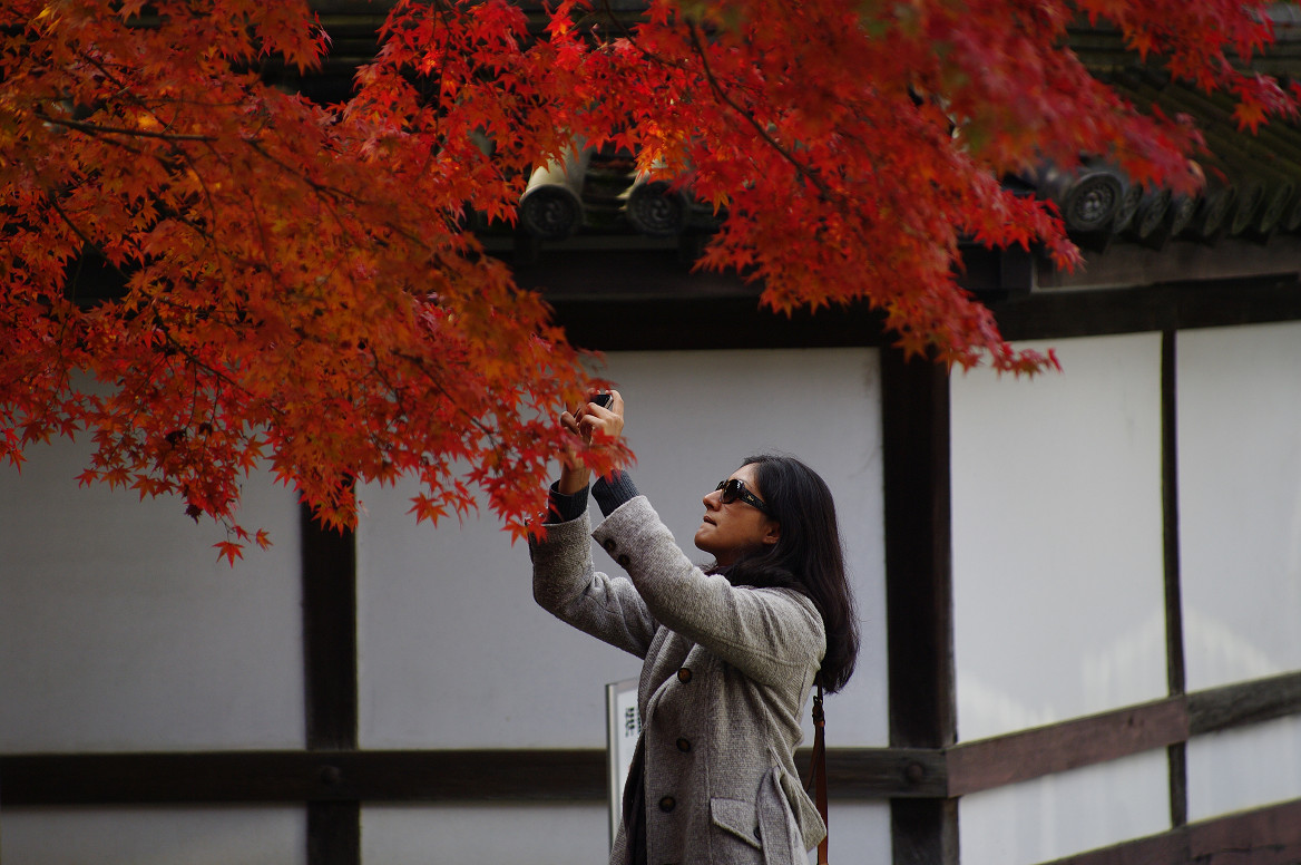 京都の紅葉 2013　〜南禅寺〜_f0152550_21345960.jpg