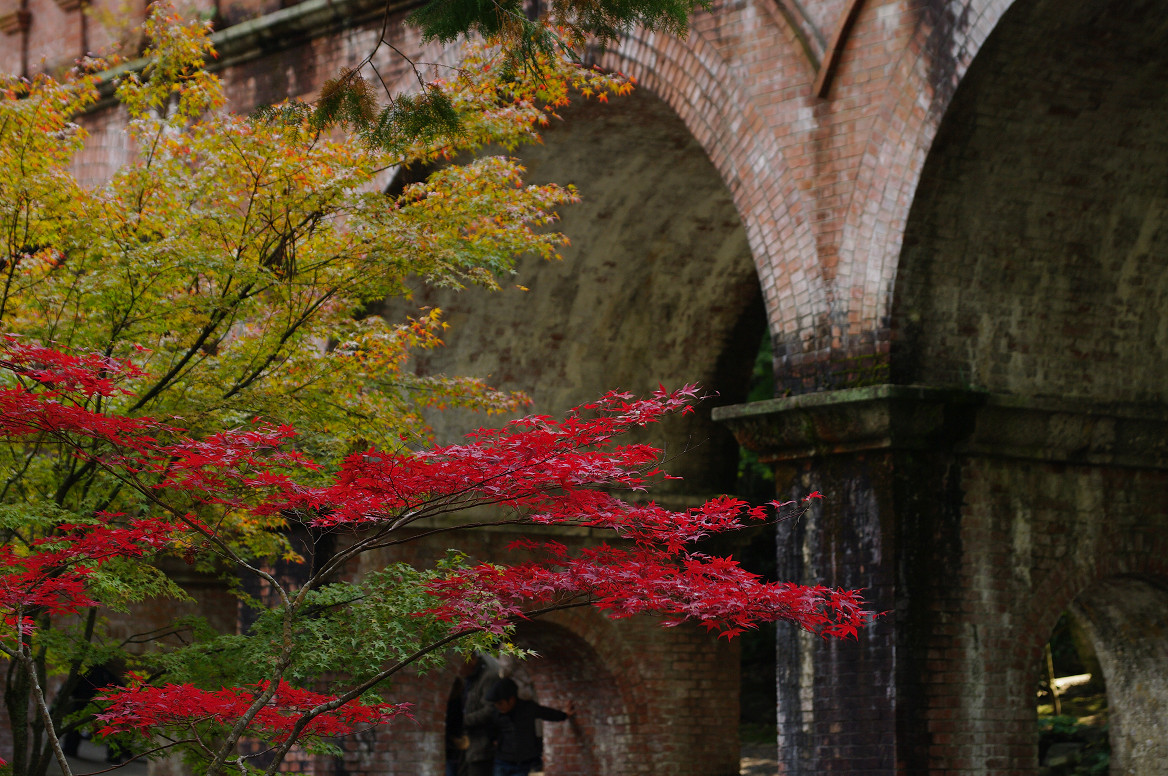 京都の紅葉 2013　〜南禅寺〜_f0152550_21351413.jpg