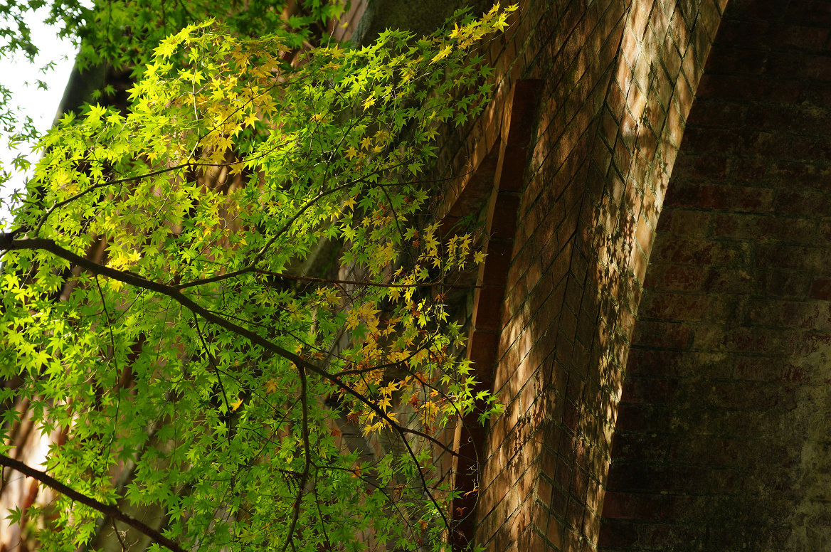 京都の紅葉 2013　〜南禅寺〜_f0152550_21354395.jpg