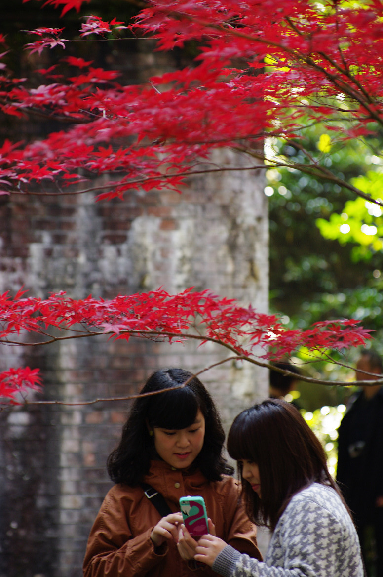 京都の紅葉 2013　〜南禅寺〜_f0152550_21361883.jpg