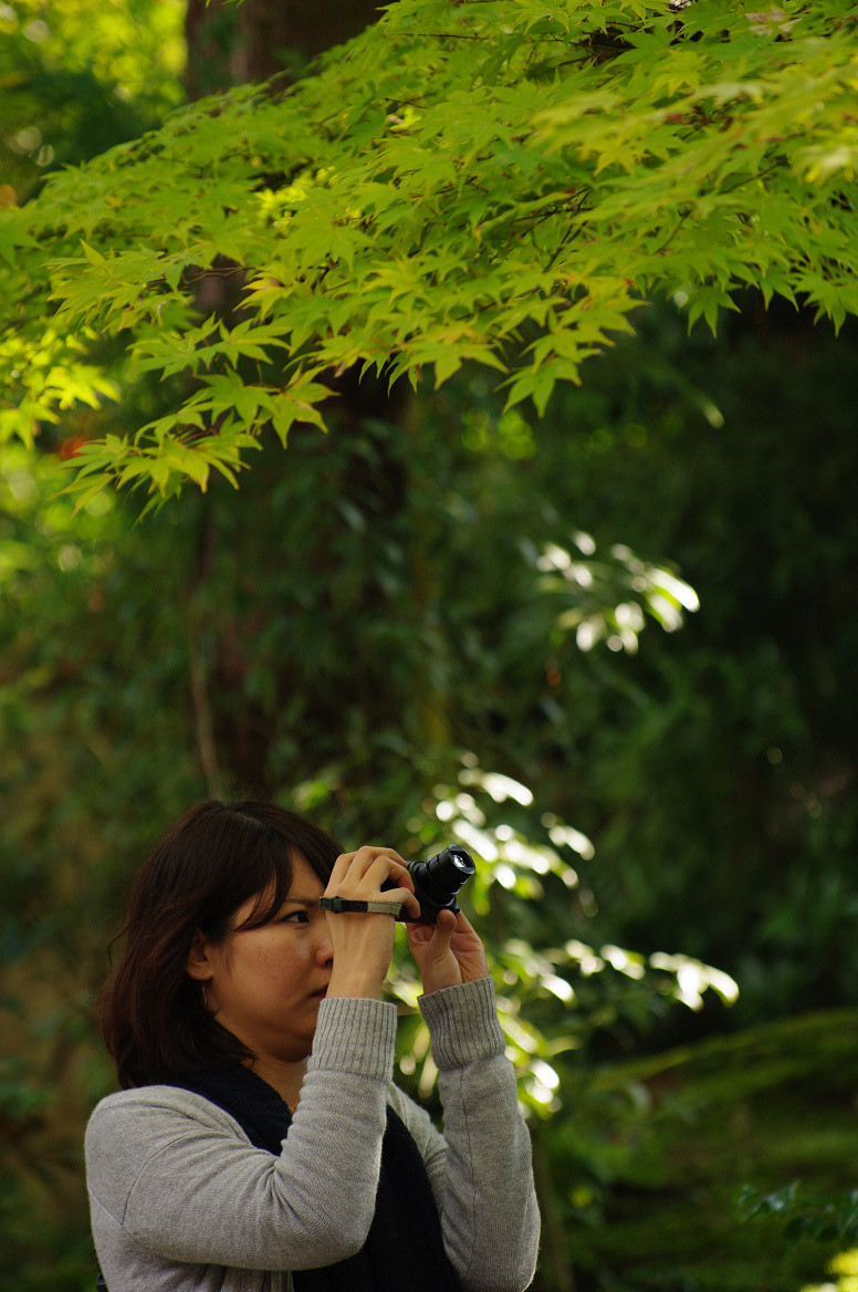 京都の紅葉 2013　〜南禅寺〜_f0152550_21363589.jpg