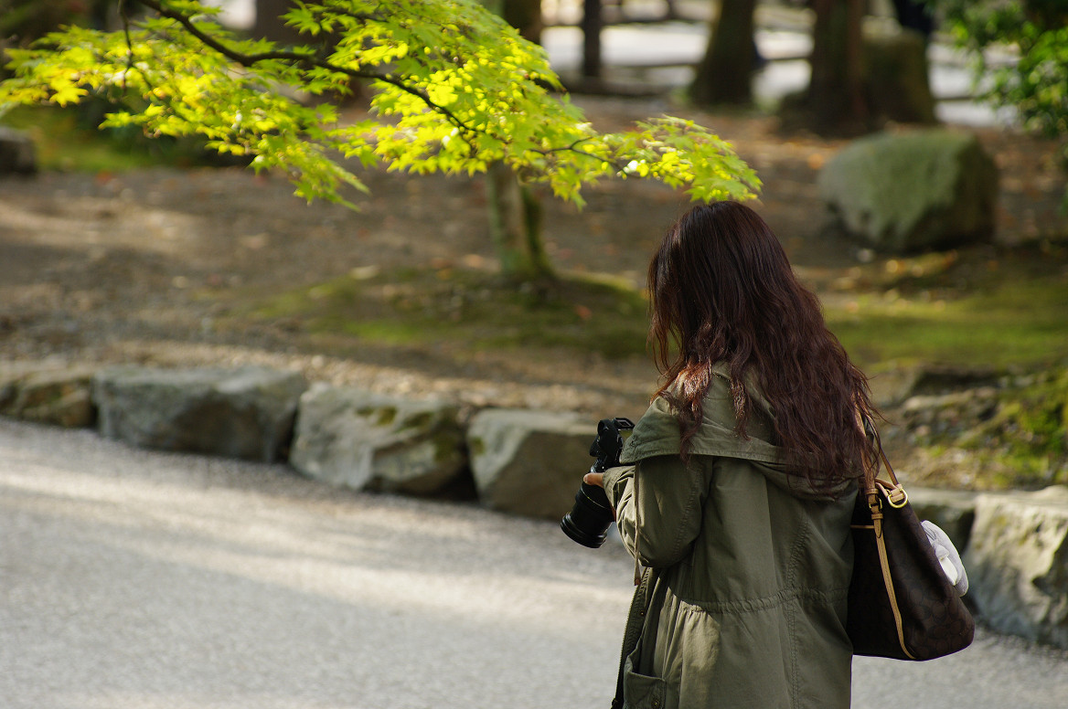 京都の紅葉 2013　〜南禅寺〜_f0152550_21371028.jpg