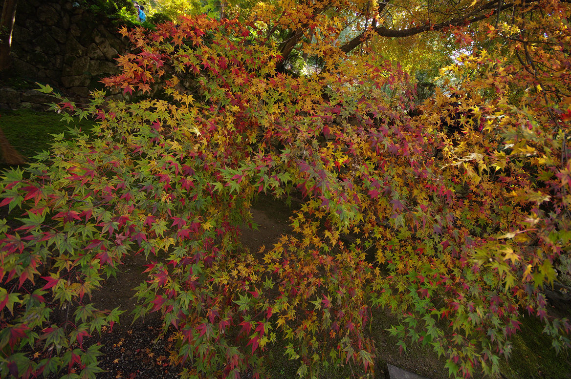 京都の紅葉 2013　〜南禅寺〜_f0152550_2137311.jpg