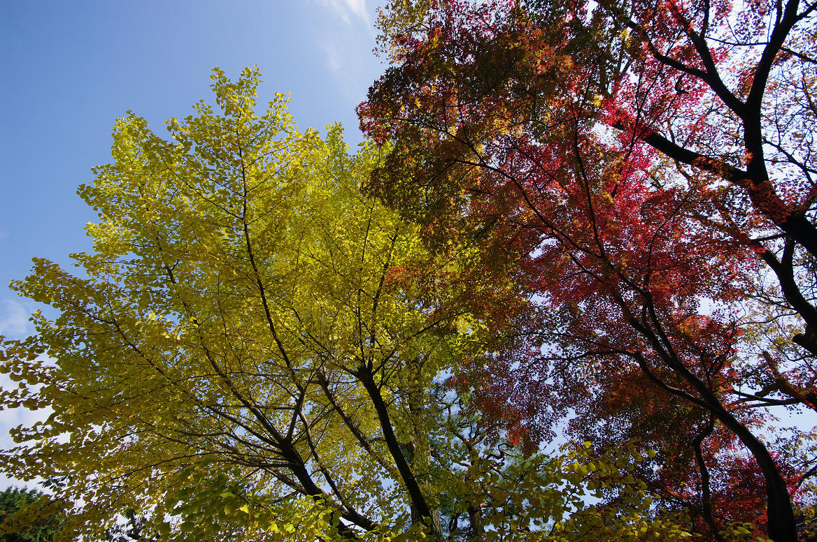 京都の紅葉 2013　〜南禅寺〜_f0152550_21374664.jpg