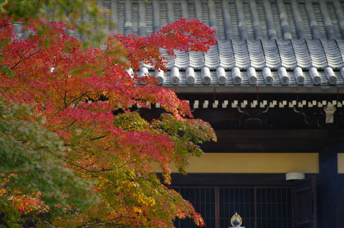 京都の紅葉 2013　〜南禅寺〜_f0152550_21381473.jpg