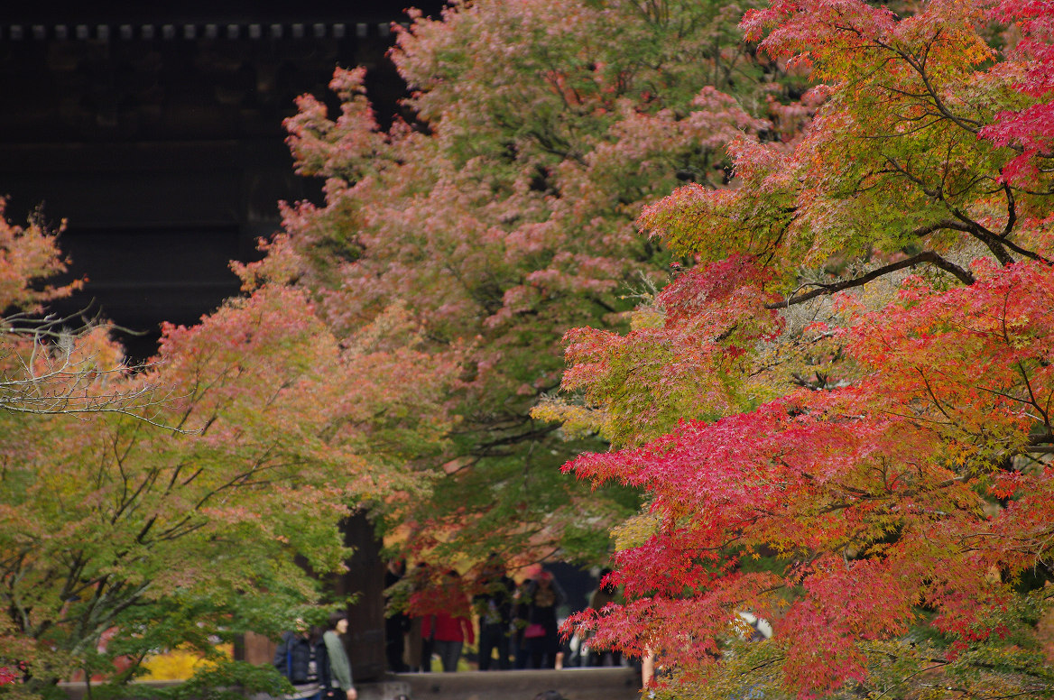 京都の紅葉 2013　〜南禅寺〜_f0152550_21393553.jpg