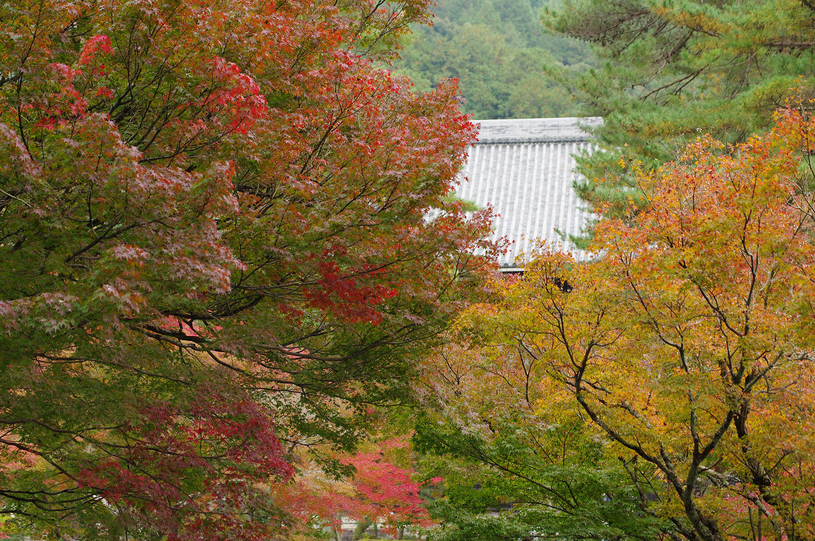 京都の紅葉 2013　〜南禅寺〜_f0152550_21395122.jpg