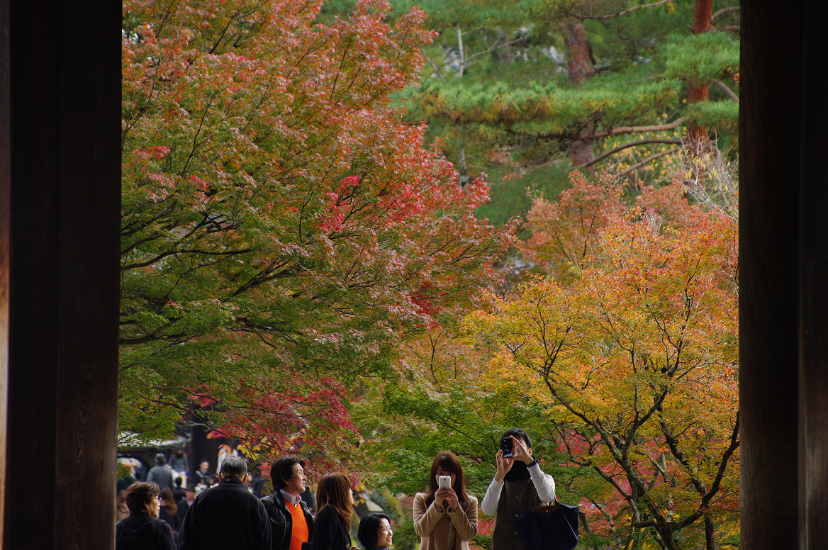 京都の紅葉 2013　〜南禅寺〜_f0152550_21405191.jpg