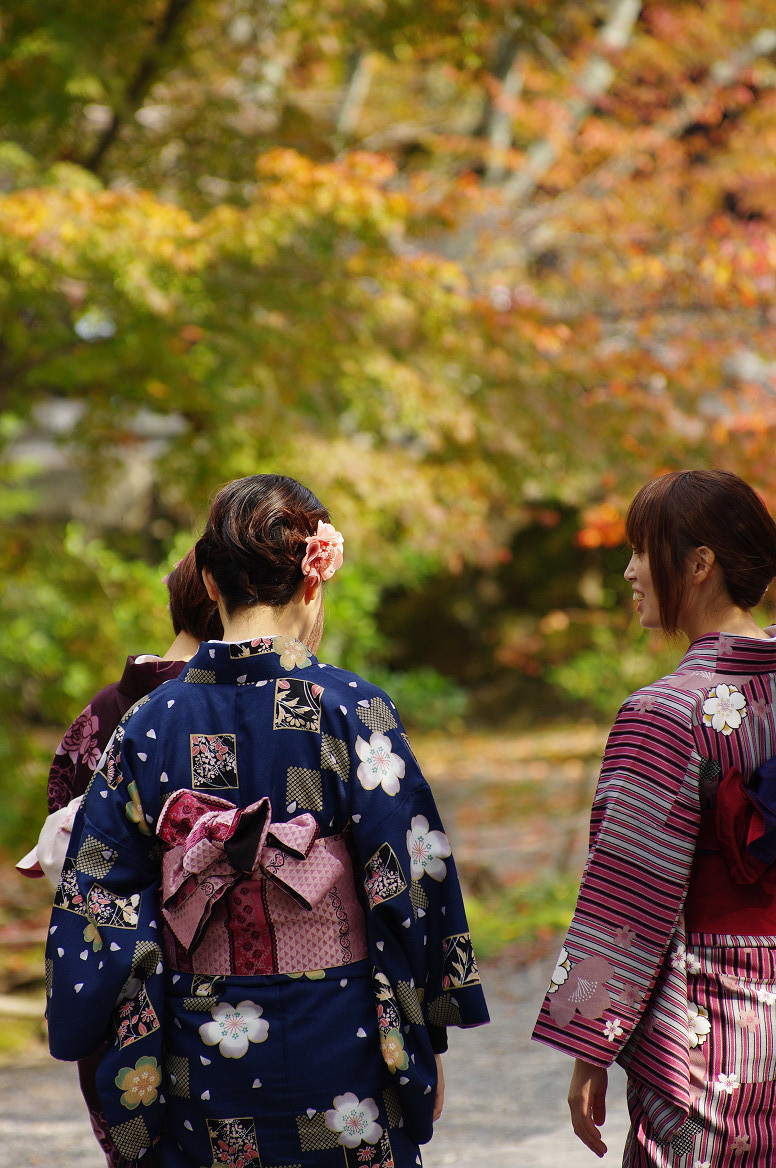 京都の紅葉 2013　〜南禅寺〜_f0152550_21412284.jpg