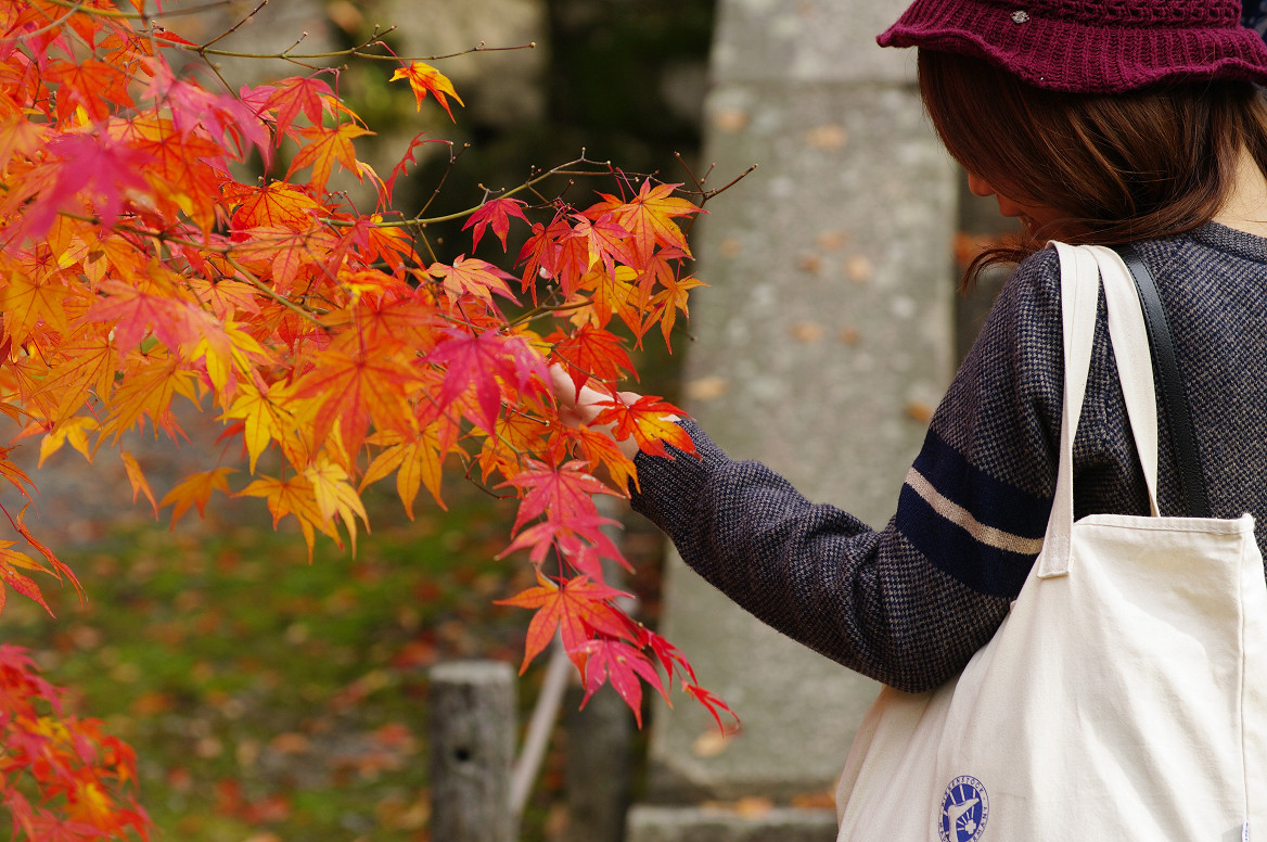 京都の紅葉 2013　〜南禅寺〜_f0152550_2141412.jpg