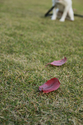 f0108553_17531445.jpg