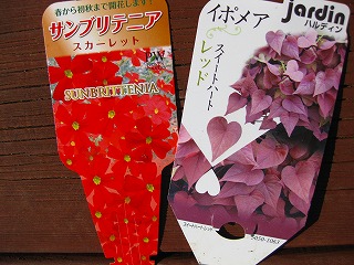 c0219654_20135090.jpg