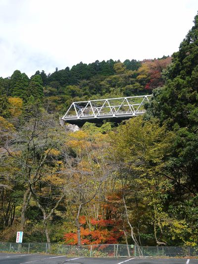 菊池渓谷 紅葉photoコレクション_a0254656_18303675.jpg