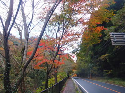 菊池渓谷 紅葉photoコレクション_a0254656_18323892.jpg