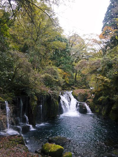 菊池渓谷 紅葉photoコレクション_a0254656_19201878.jpg