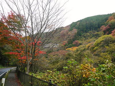 菊池渓谷 紅葉photoコレクション_a0254656_1933376.jpg