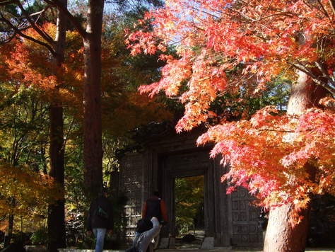 c0111557_12232495.jpg