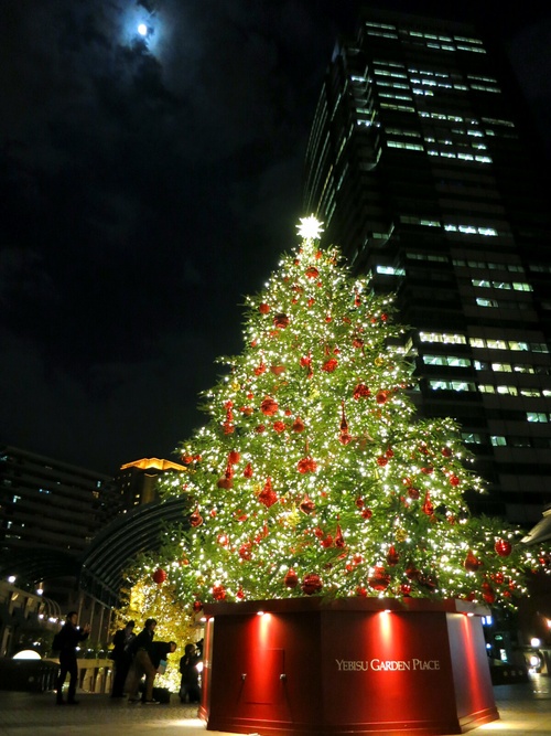 f0236260_0184045.jpg