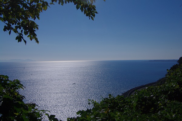 d0164761_8475678.jpg