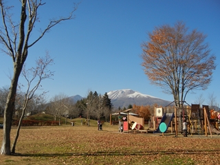 a0118264_08564179.jpg
