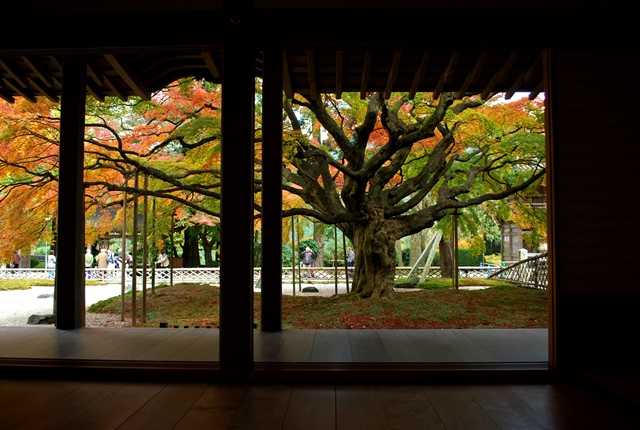 雷山の紅葉_f0189867_20473010.jpg