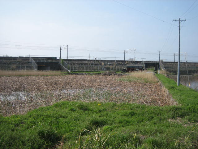 d0141168_1854252.jpg