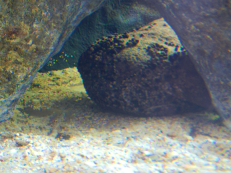 b0056570_23555034.jpg