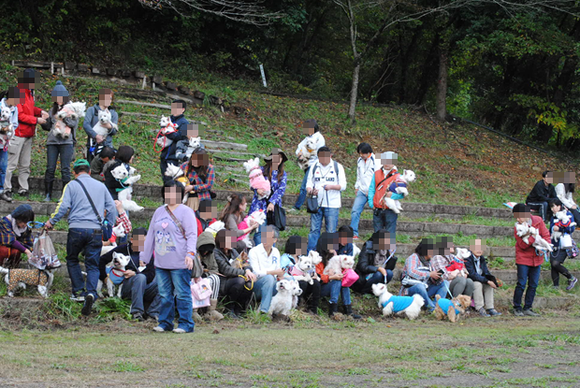 b0242873_23292755.png