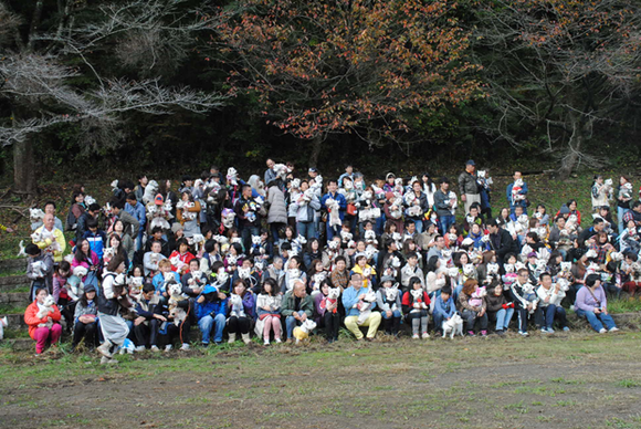b0242873_23304797.png