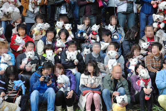 b0242873_23314082.png
