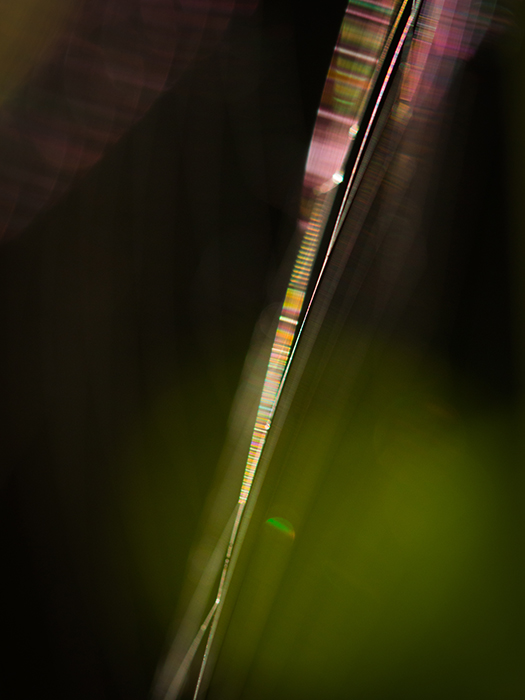 裏高尾~秋光~_a0161380_92240100.jpg