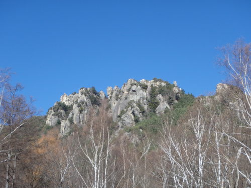 f0223480_21573129.jpg