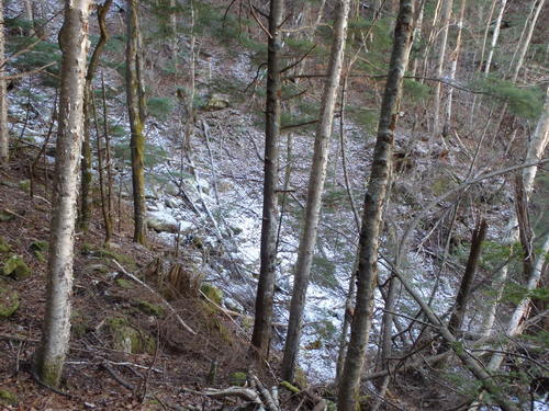 f0223480_2204343.jpg