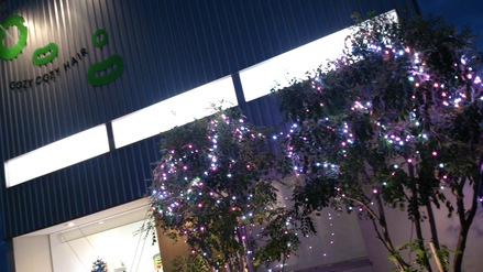 クリスマス装飾_f0172281_13372635.jpg
