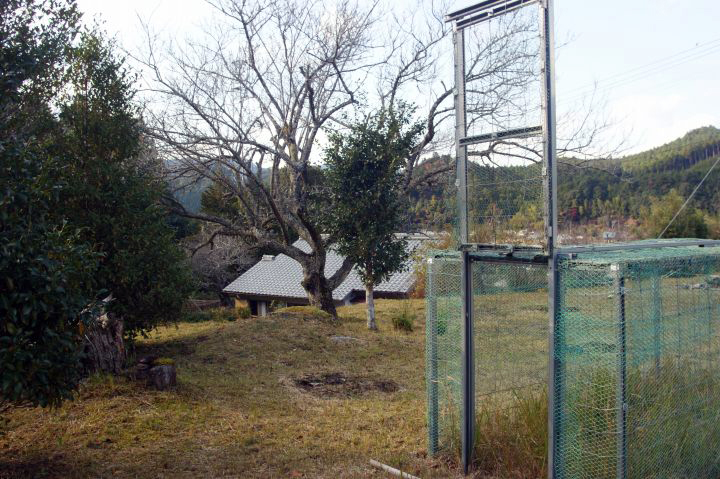 d0045383_918113.jpg