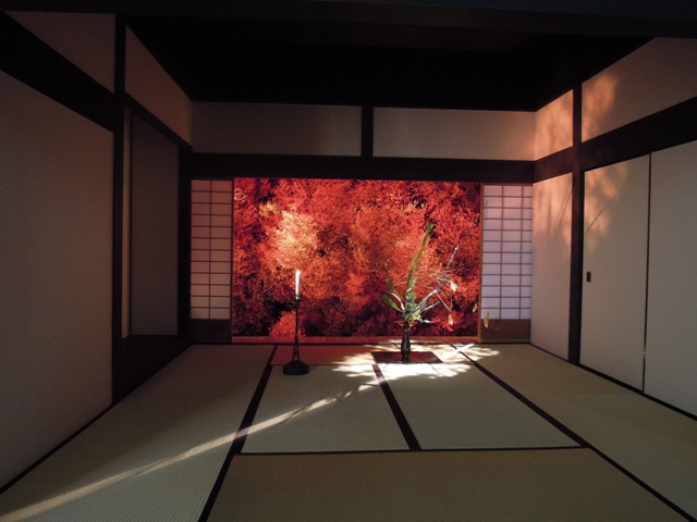 池坊華展 (京都高島屋)_d0195183_15422820.jpg