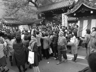 京都へ (嵐山~六角堂)_d0195183_17173859.jpg