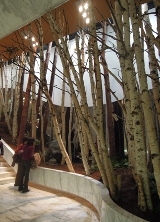 池坊華展 (六角堂)_d0195183_472055.jpg