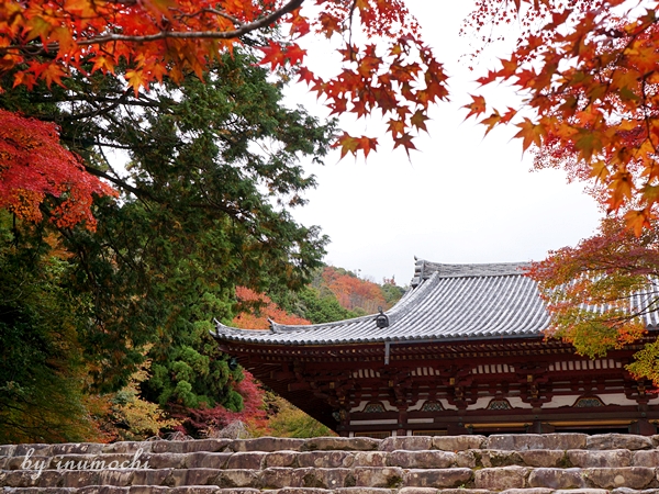 紅葉狩り＠神護寺_e0156083_9332454.jpg