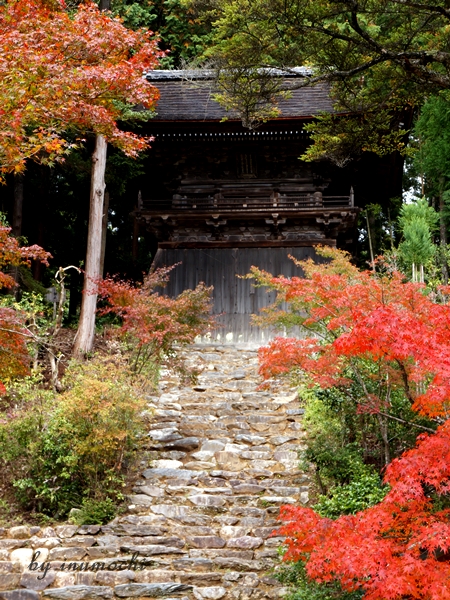 紅葉狩り＠神護寺_e0156083_9364029.jpg